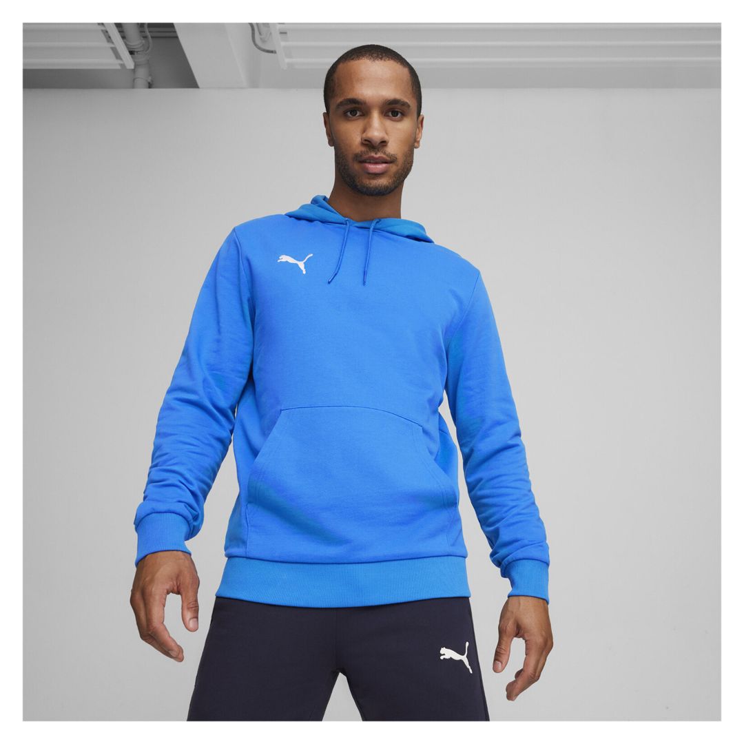 Puma TeamGOAL Casuals Hoody