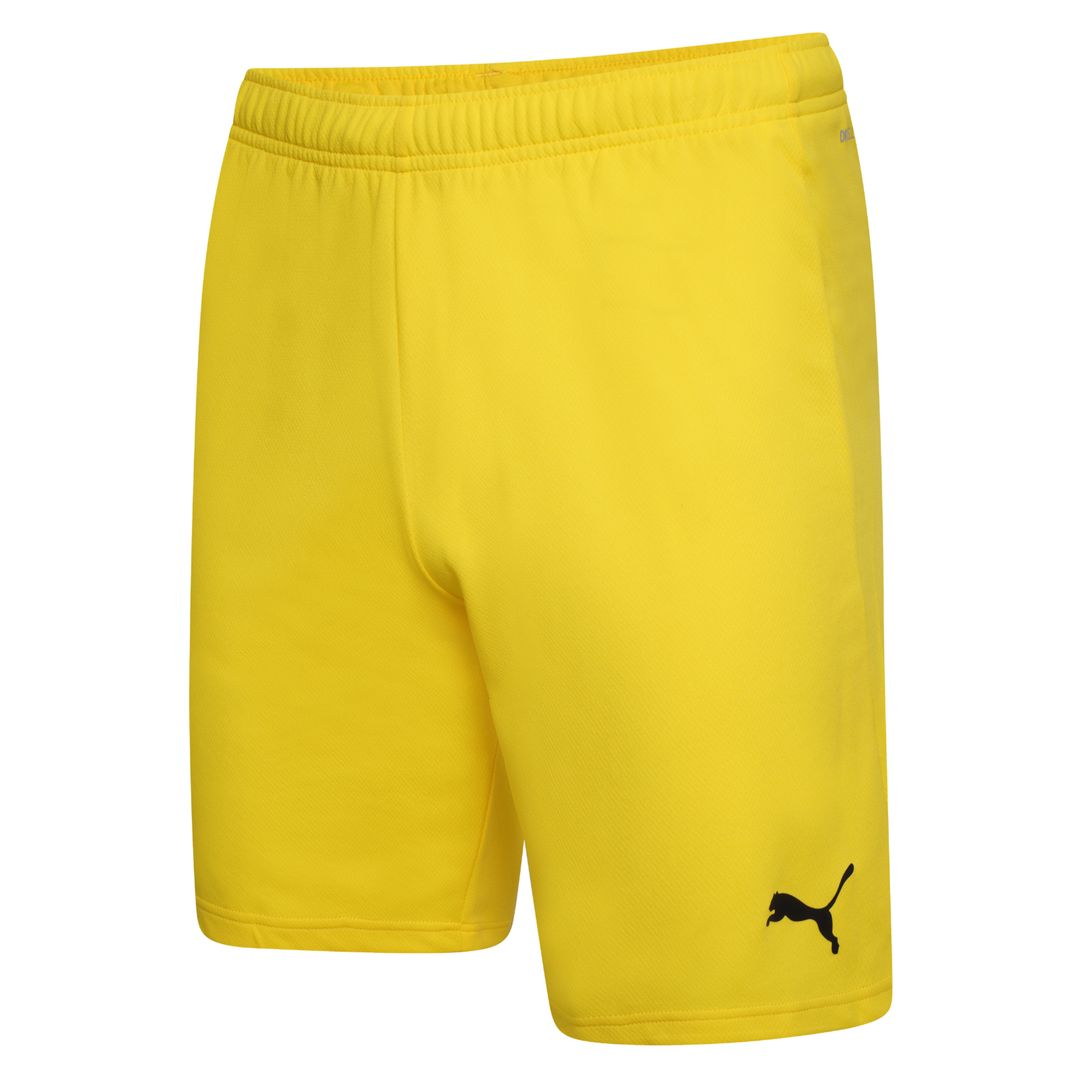 Puma teamRISE Shorts