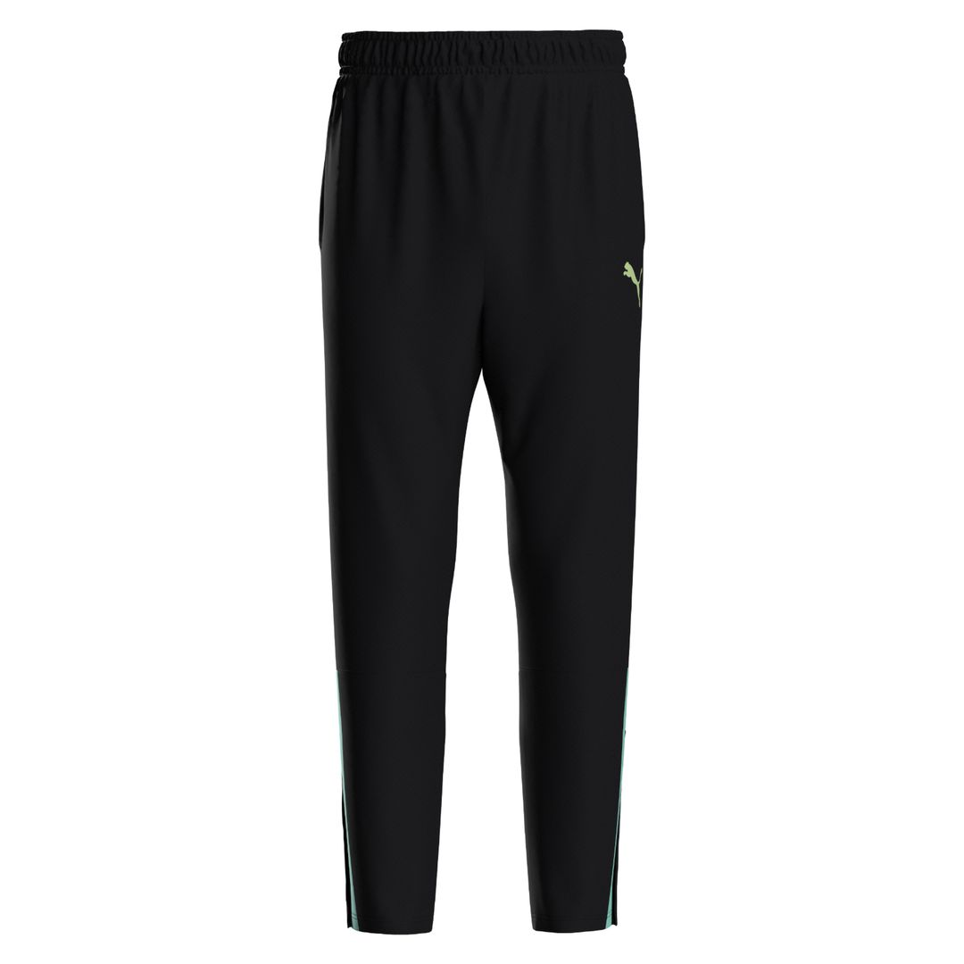 Puma teamLIGA Training Pants