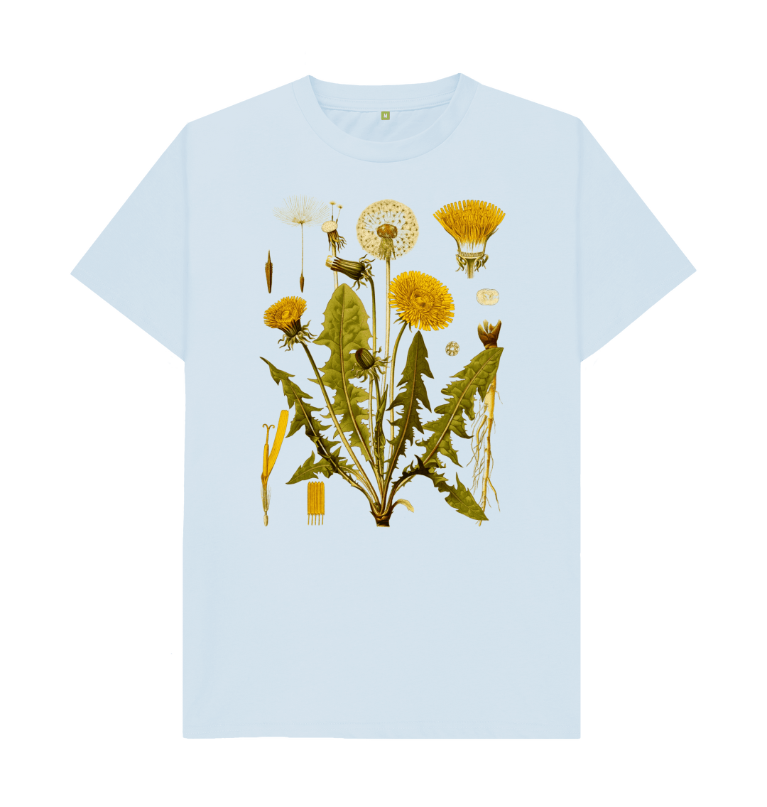 Dandelion (Regular)