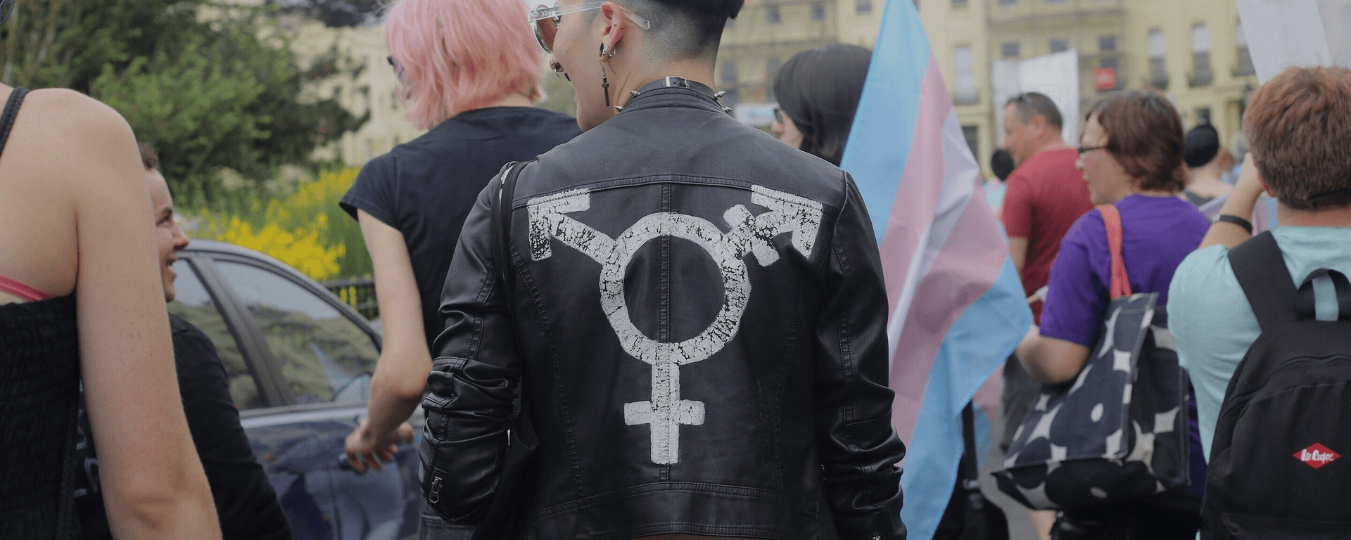 Trans Accountability Project Films