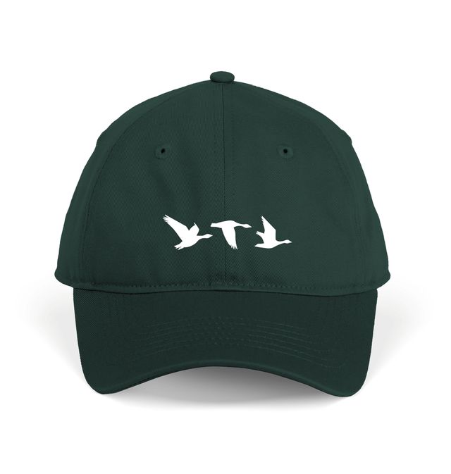 Bird Nerd Printed Cap display picture 1
