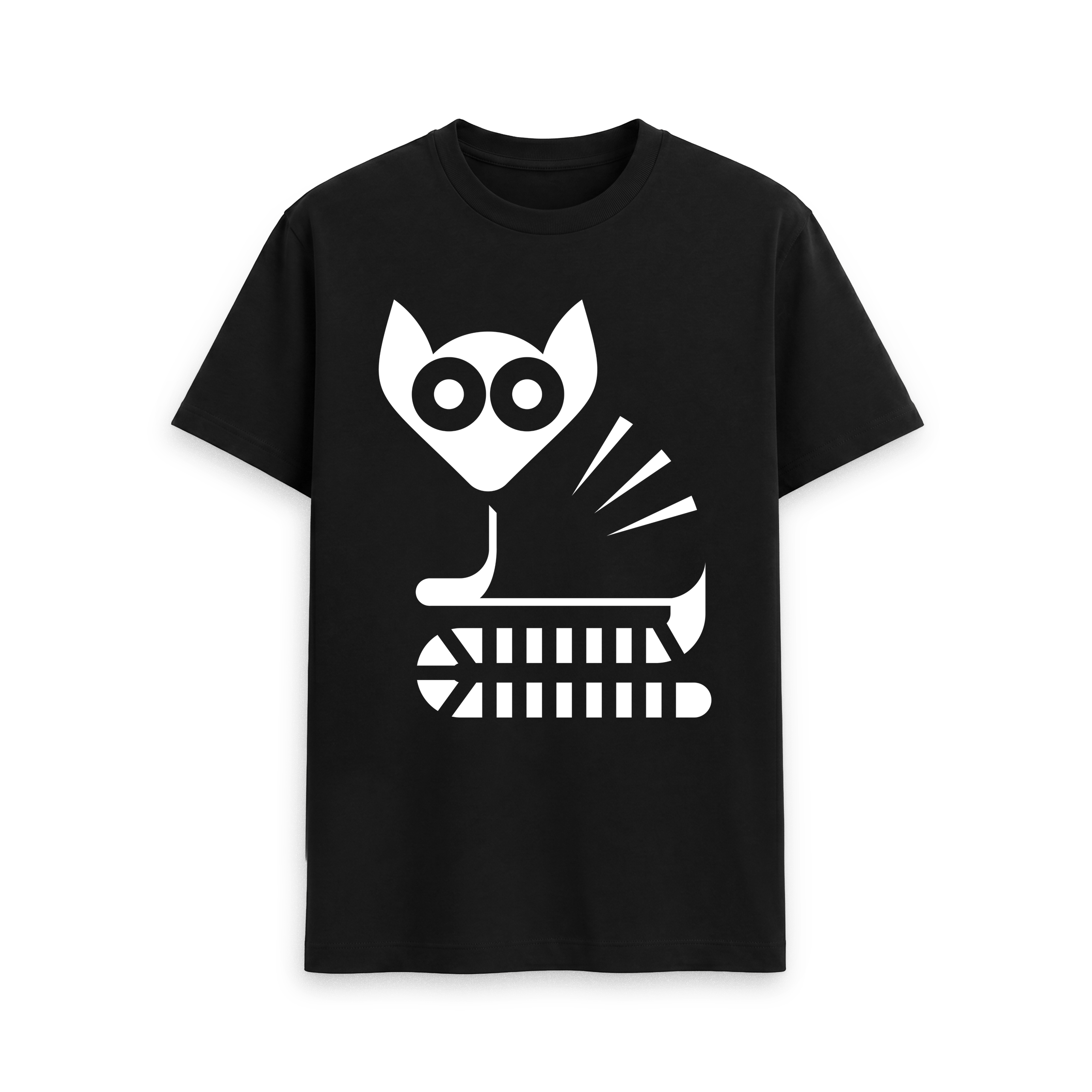Racoon