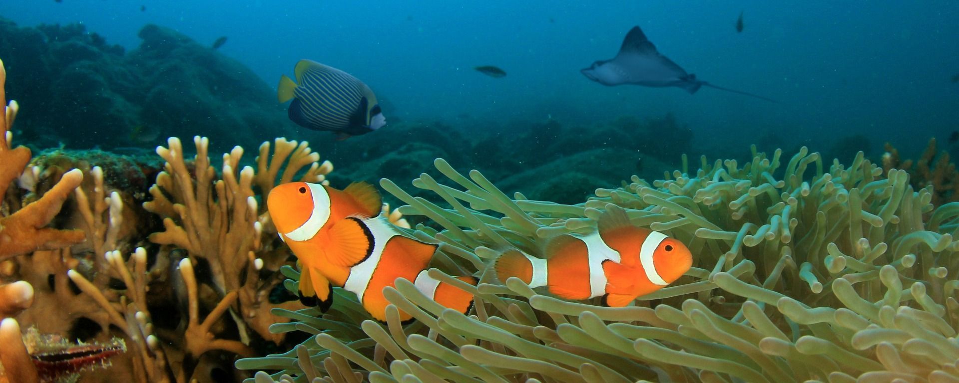 SEA LIFE Trust
