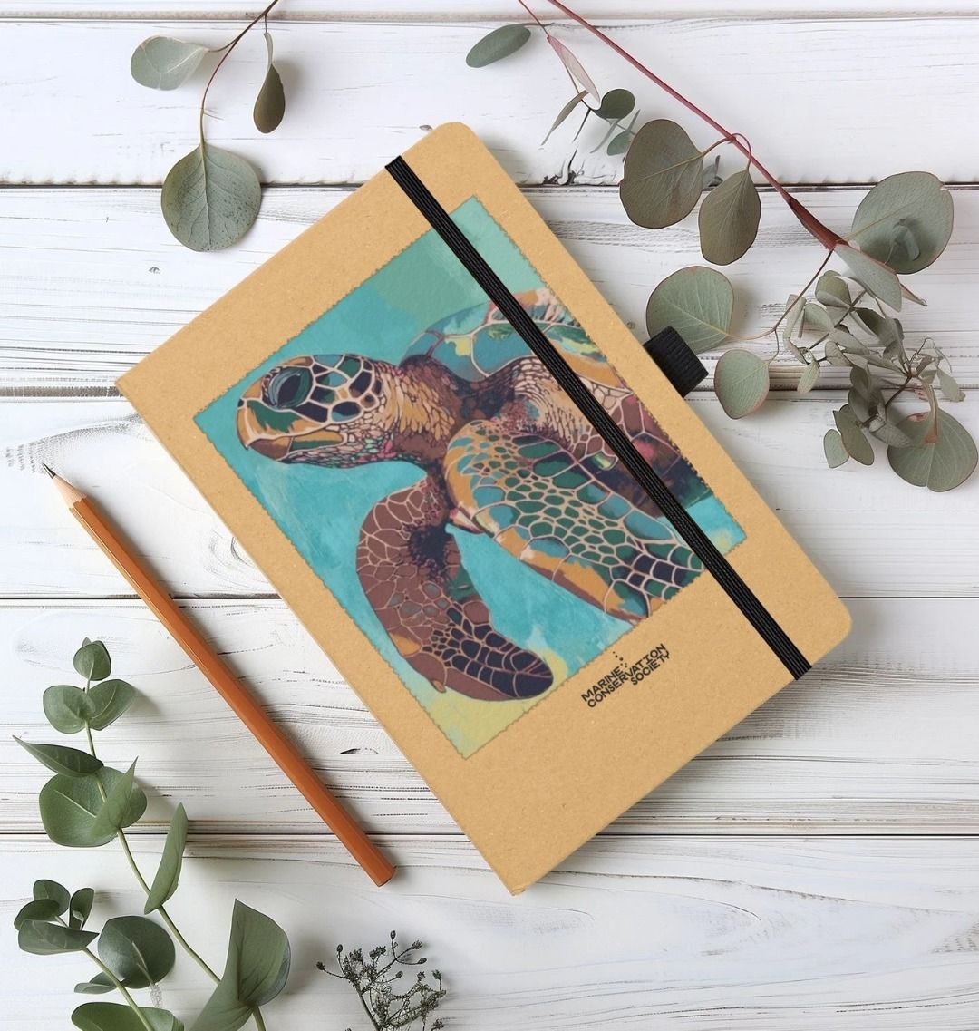 Turtle With Notebook Sea Turtle Notebook