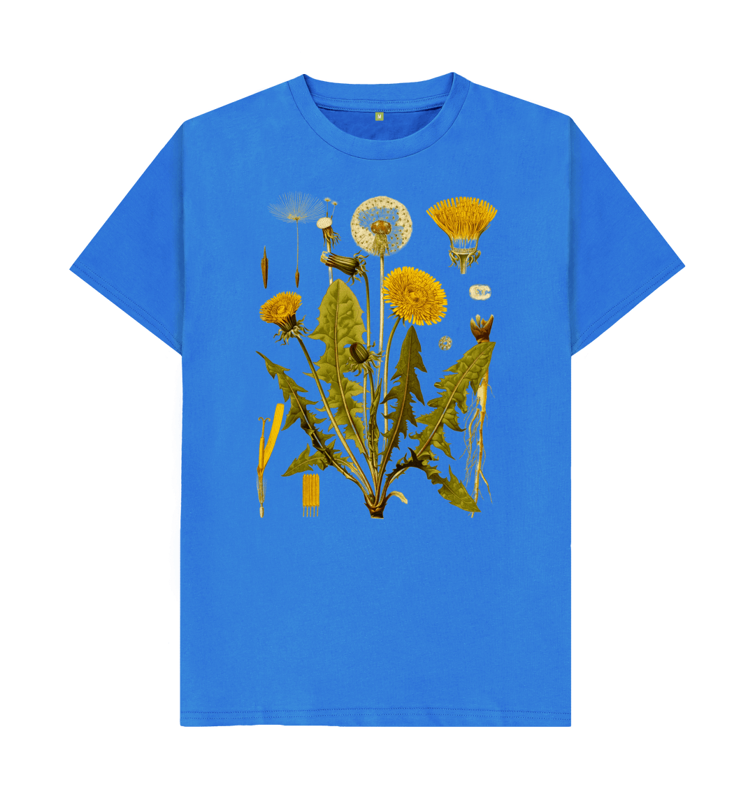 Dandelion (Regular)