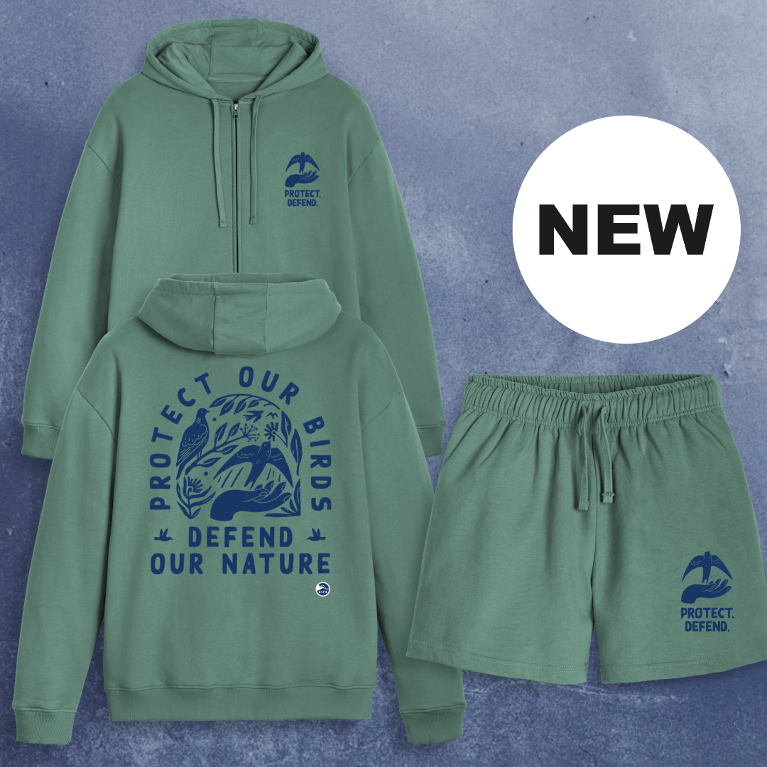 Protect & Defend Zip Hoodie & Shorts Bundle