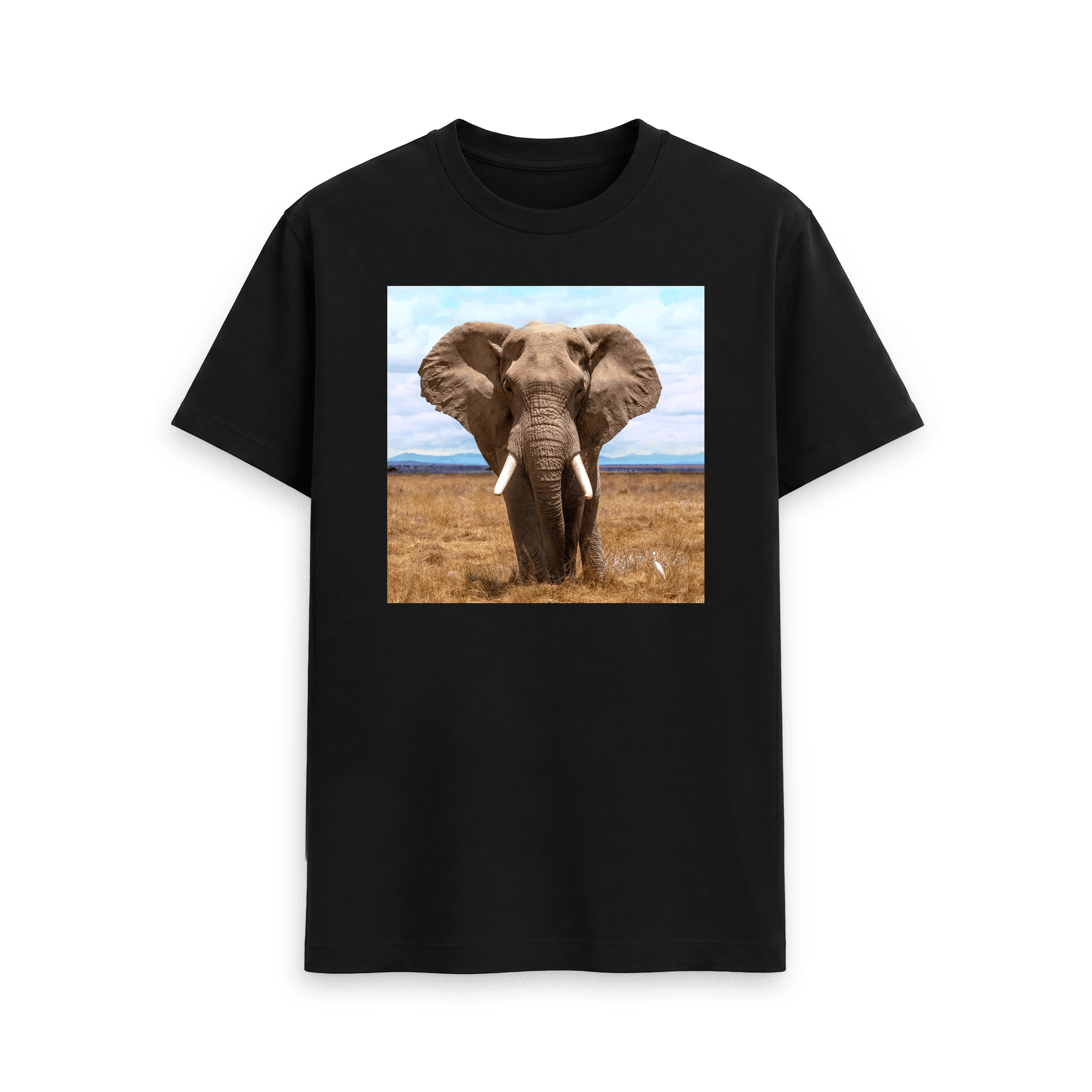 Elephant - Tee