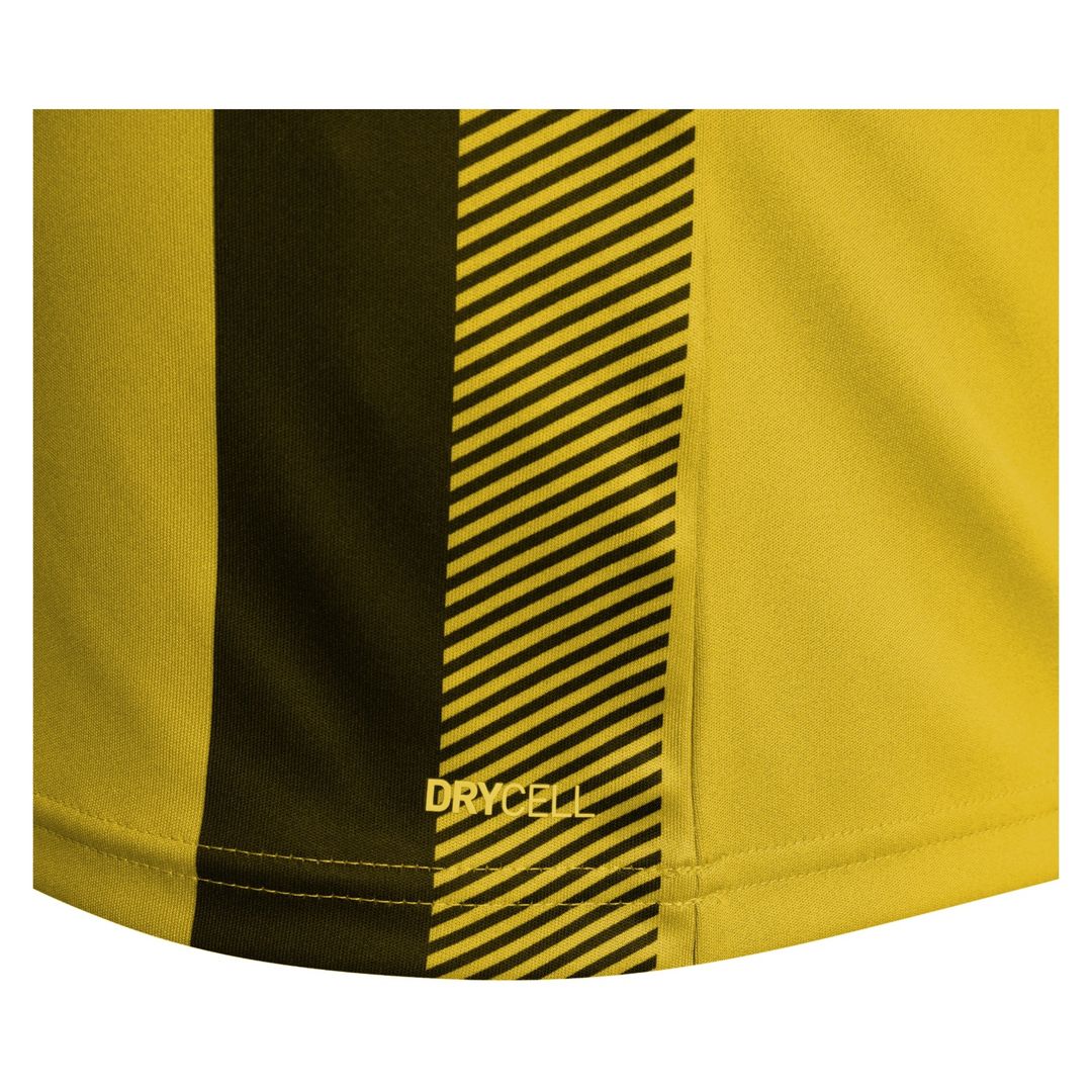 Puma teamLIGA Striped Jersey