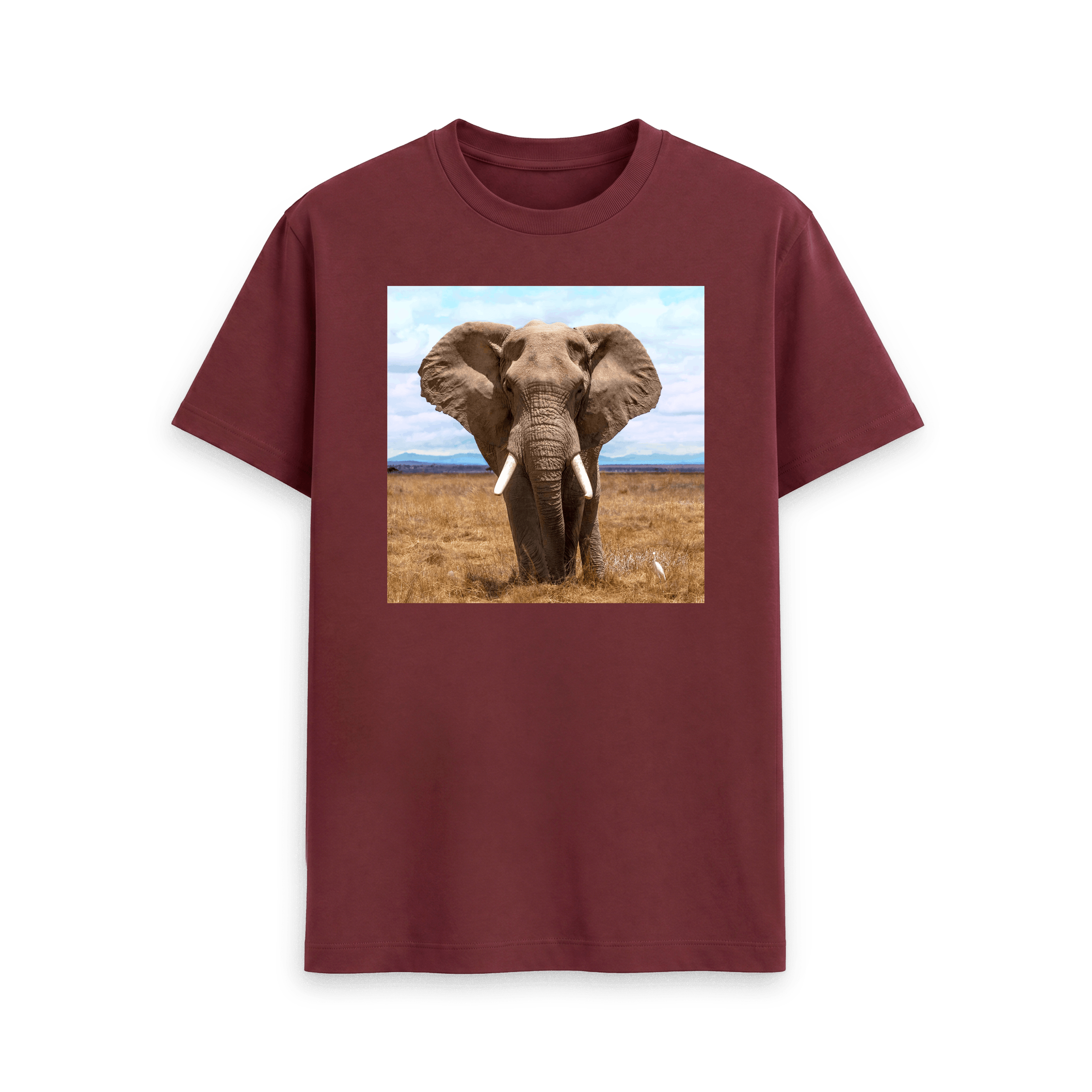 Elephant - Tee