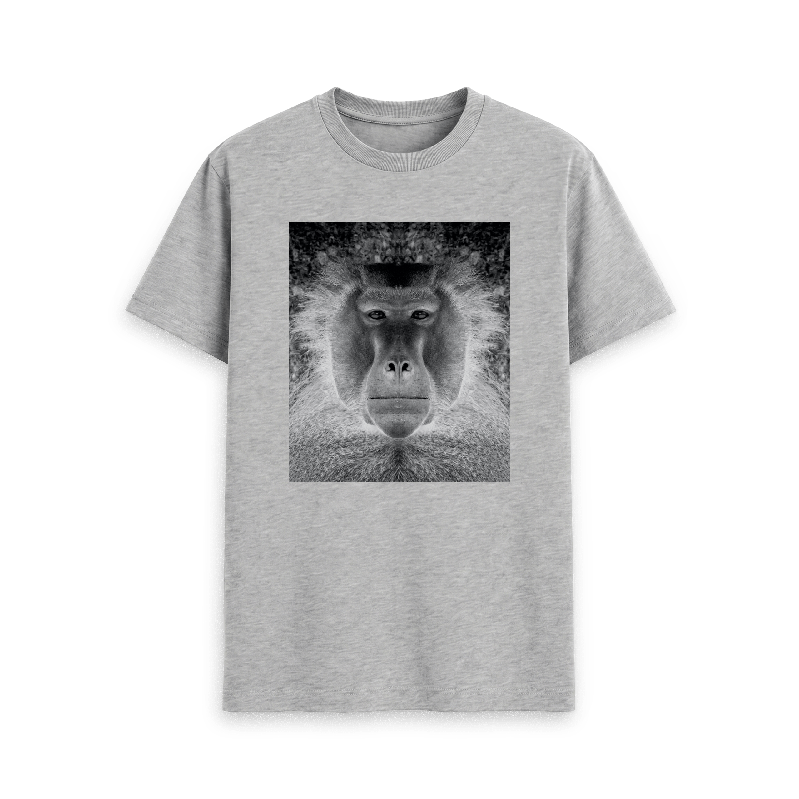 Baboon