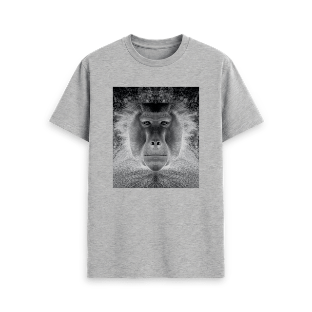 Baboon