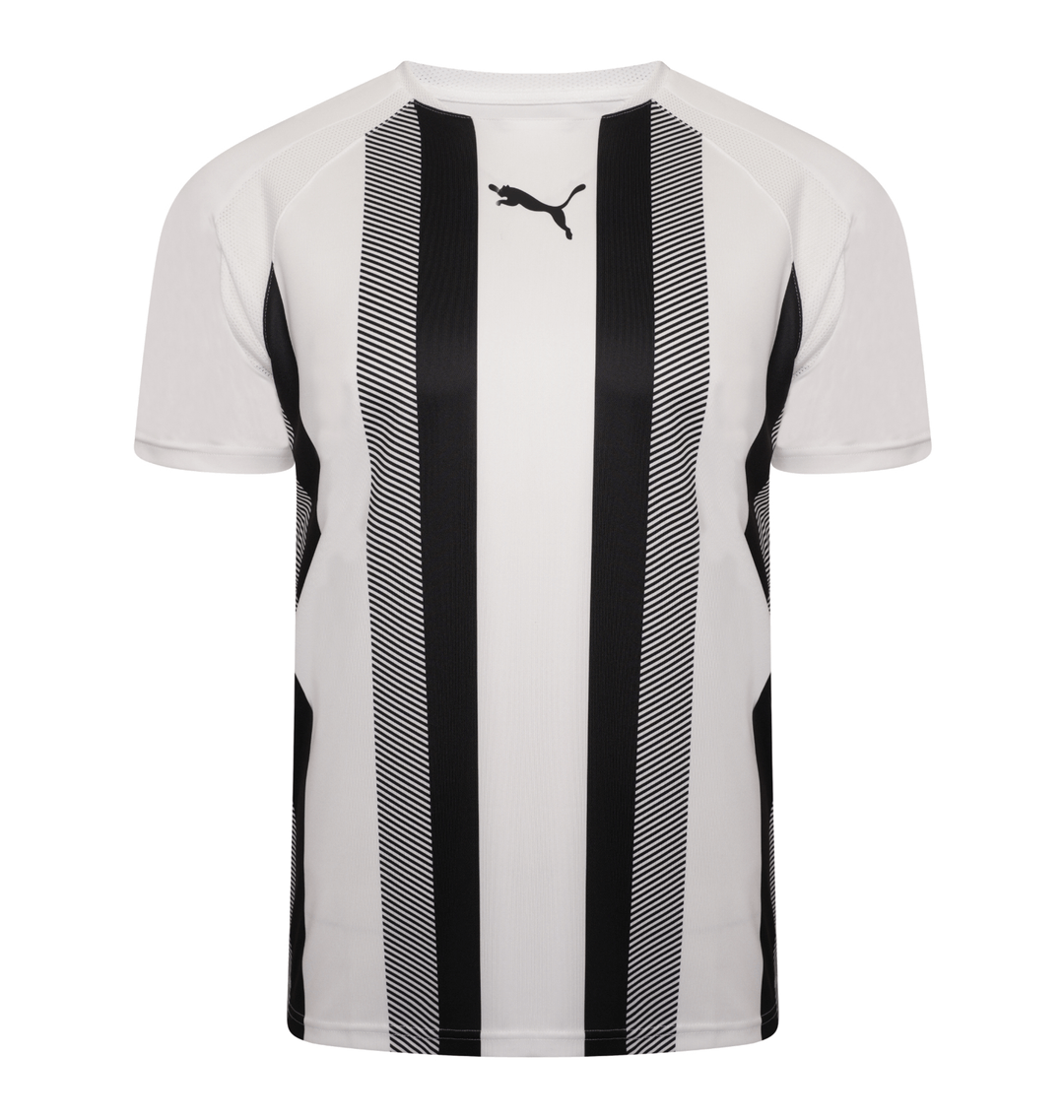 Puma teamLIGA Striped Jersey