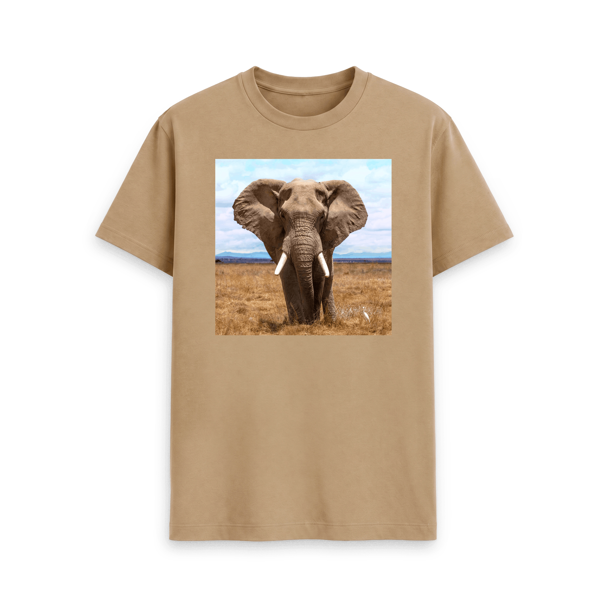 Elephant - Tee
