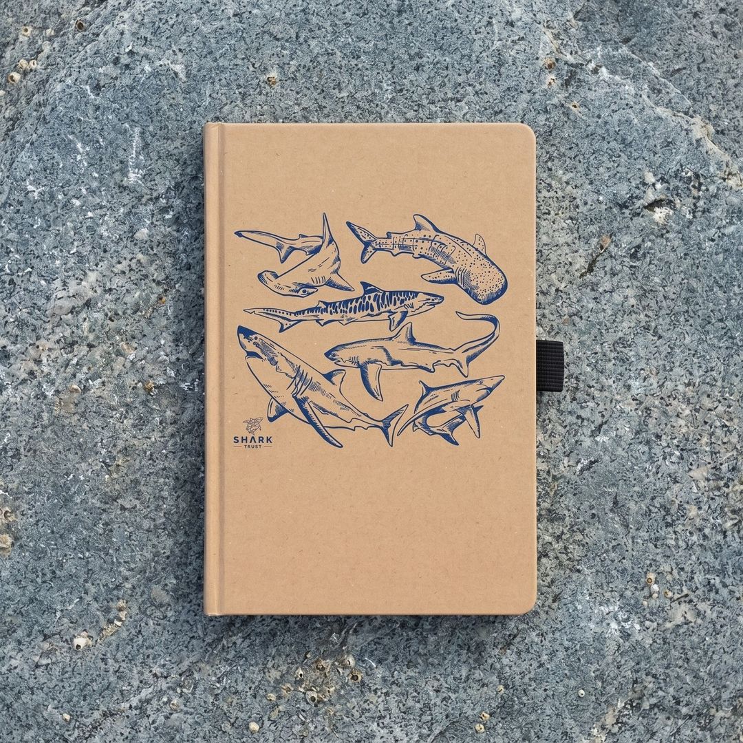 Shark Notebook | A5 Shark Notebook | Shark Trust
