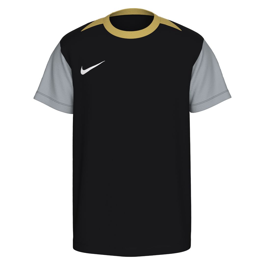 Nike Academy Pro 24 Dri-FIT Short Sleeve Top