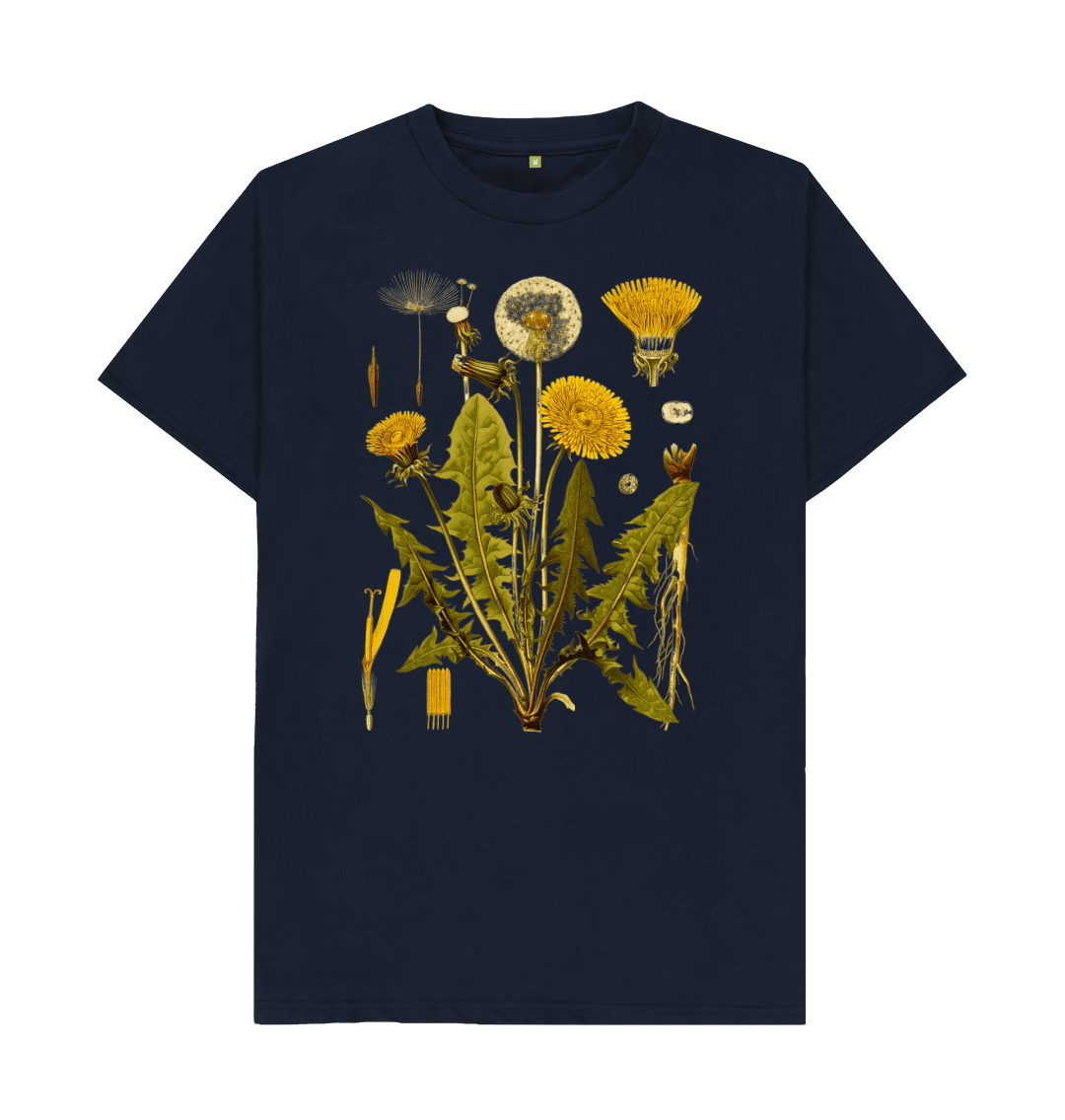 Dandelion (Regular)