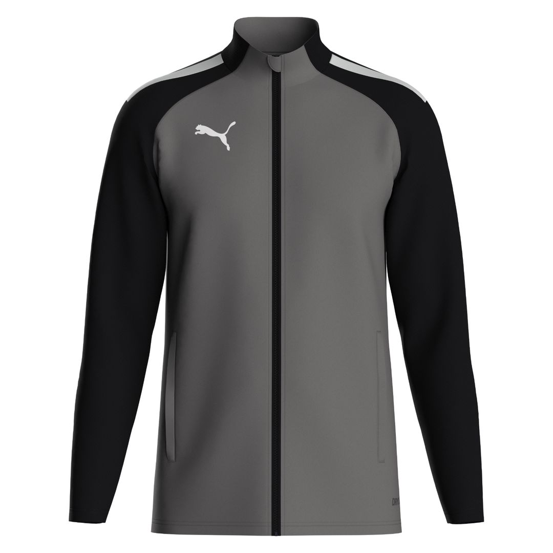 Puma teamLIGA Training Jacket - Main Image