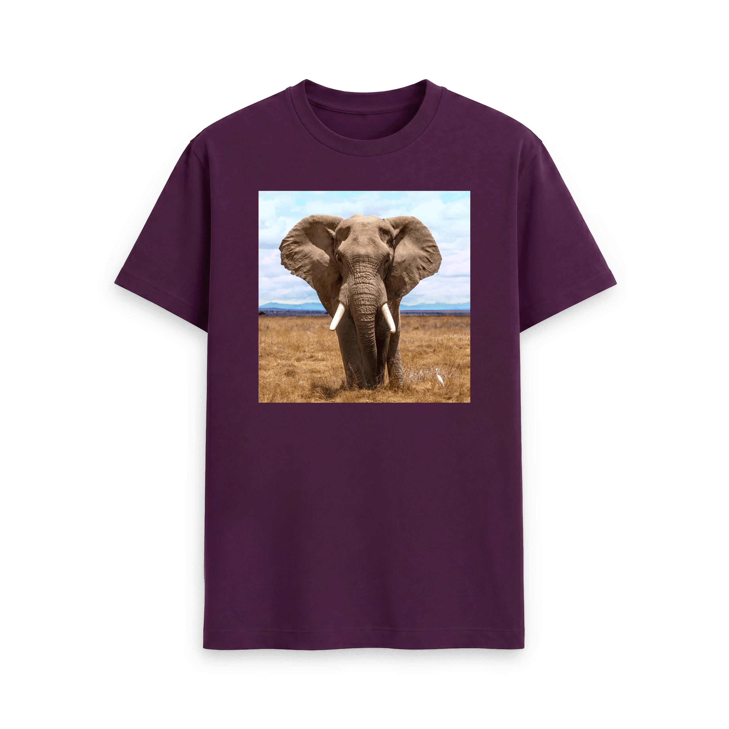 Elephant - Tee