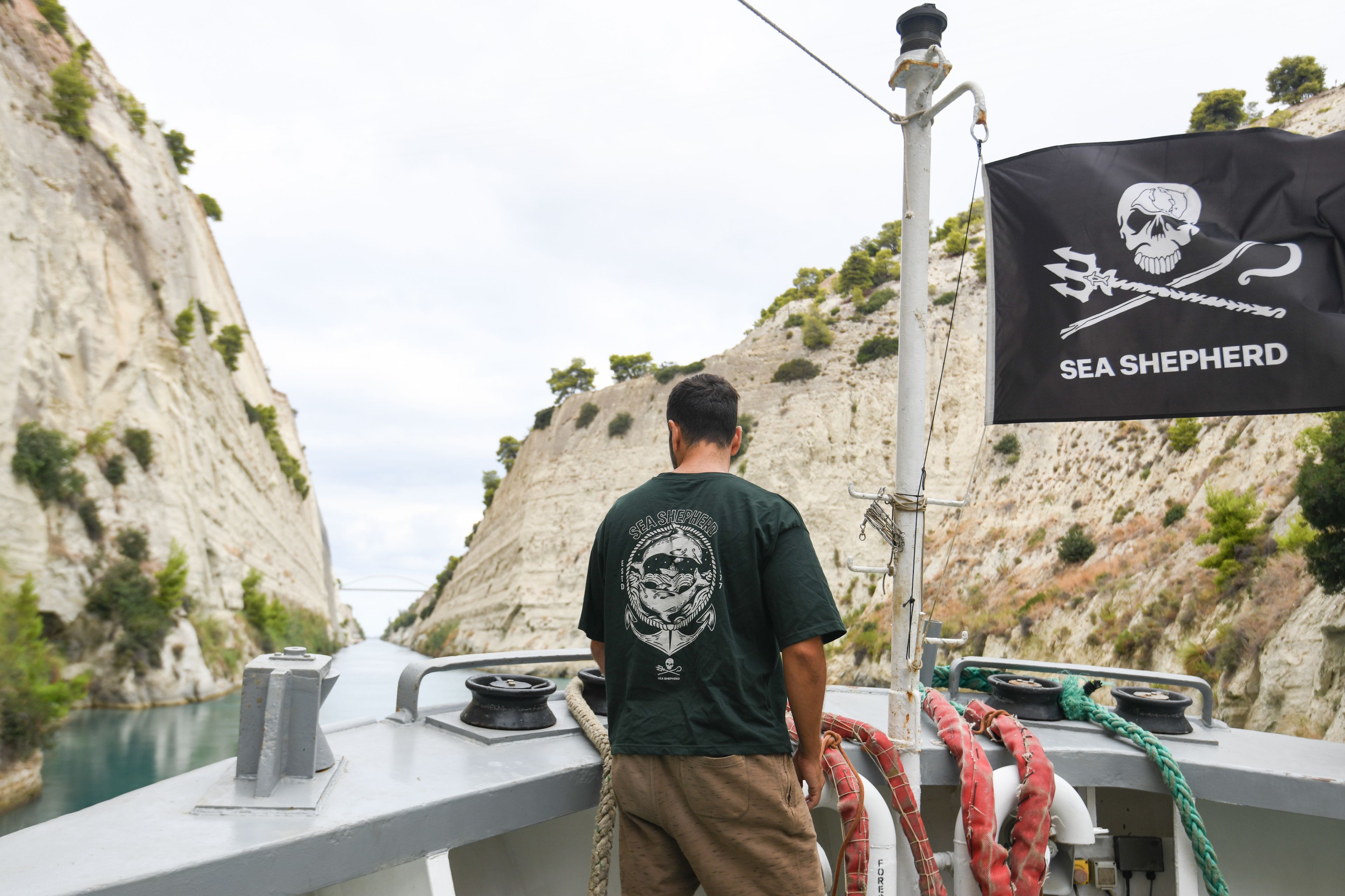 Sea Shepherd Dolphin Oversized T-shirt