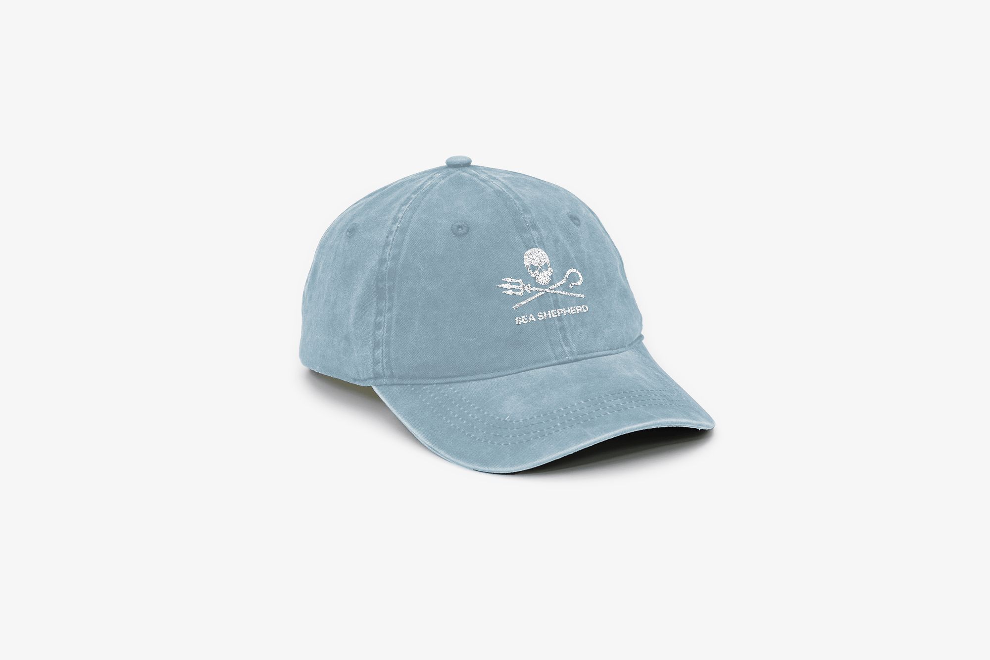 Sea Shepherd Jolly Roger Cap | Aqua