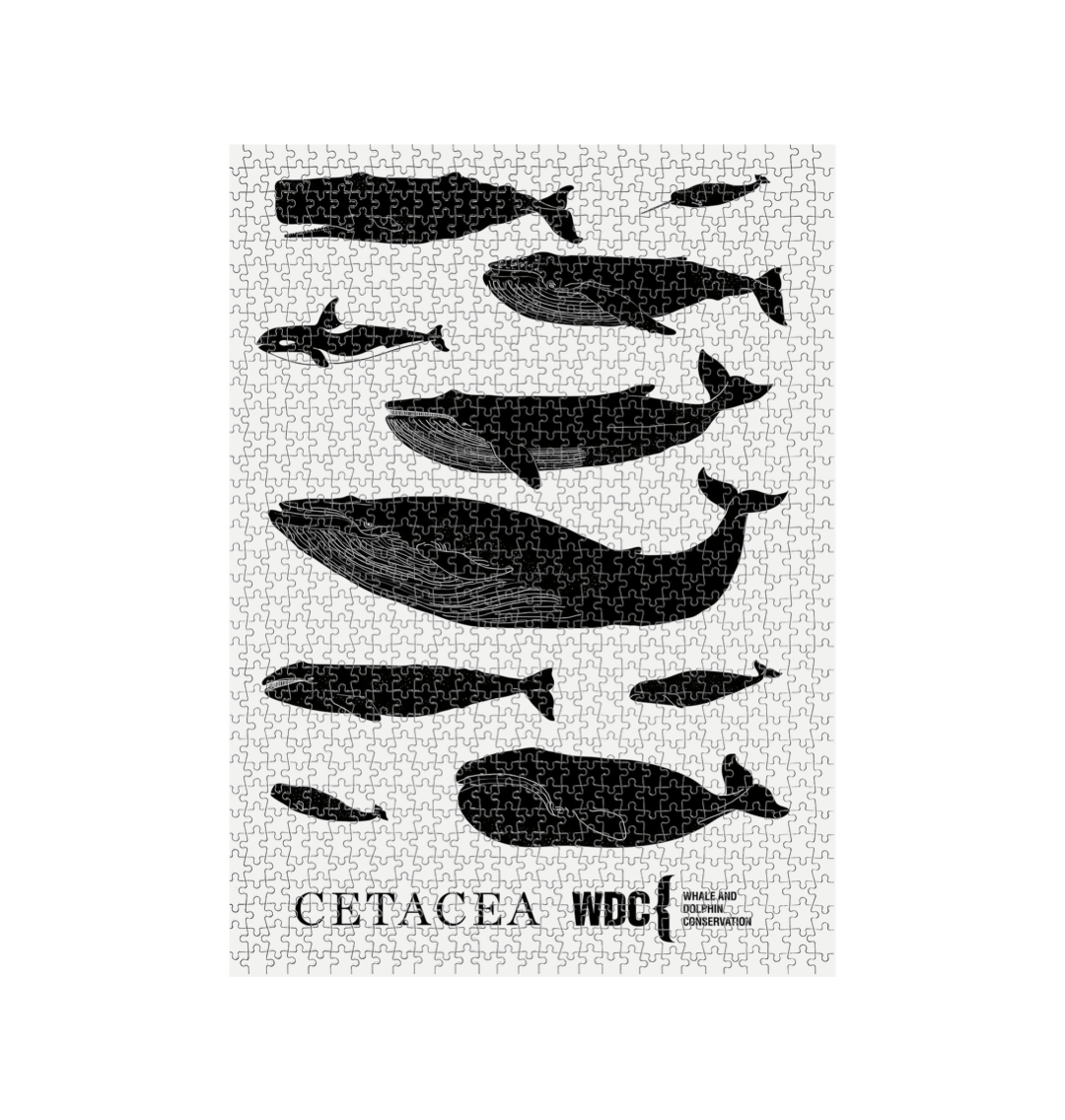 Cetacea Puzzle - 1,000 pieces