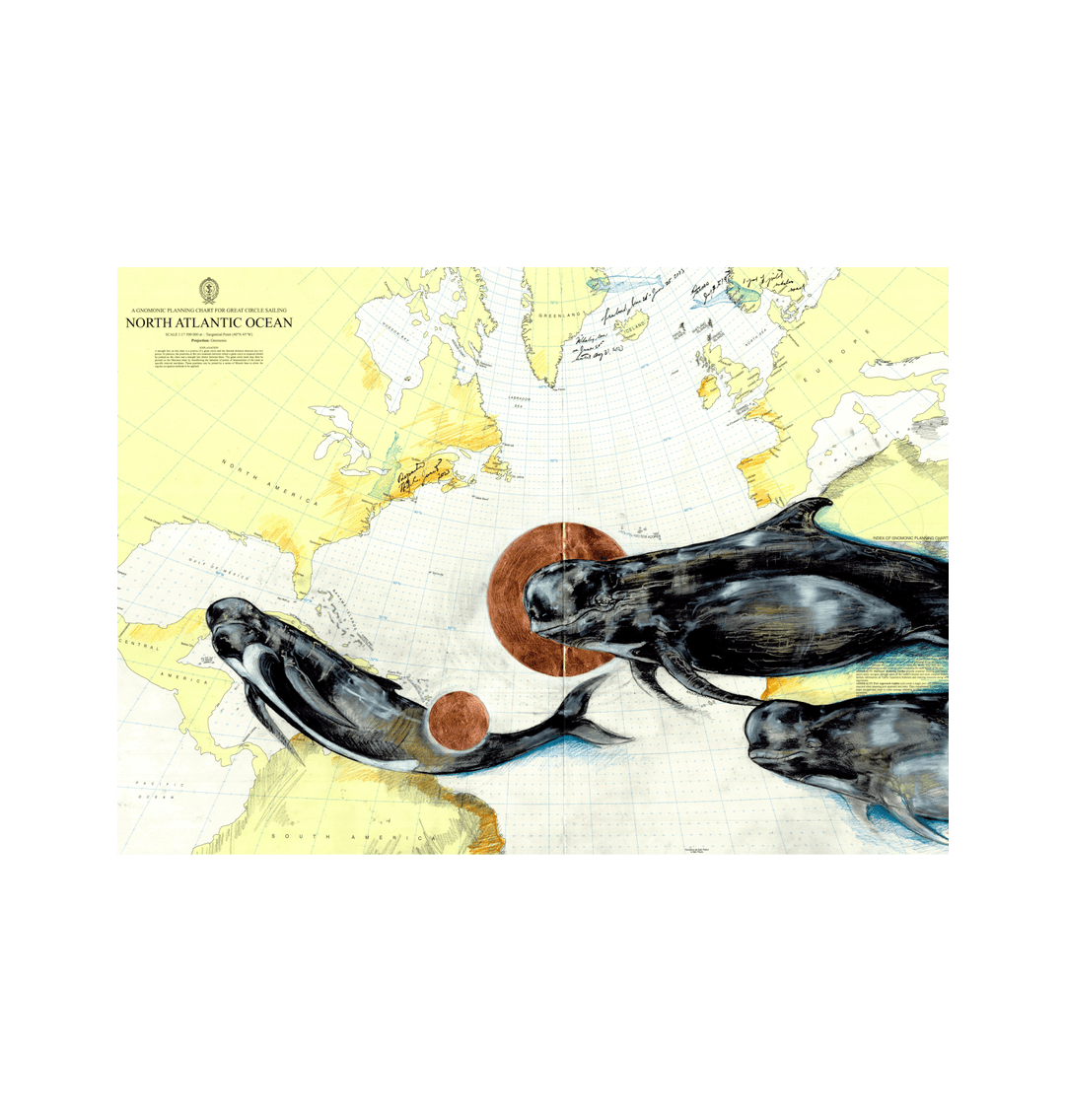 Pilot Whales Art Print - Simone Eisenbeiss