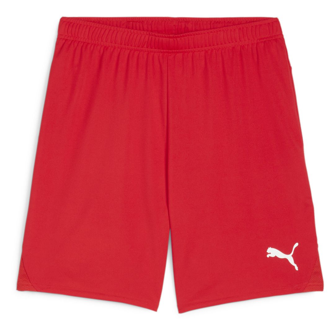 Puma TeamGOAL Shorts