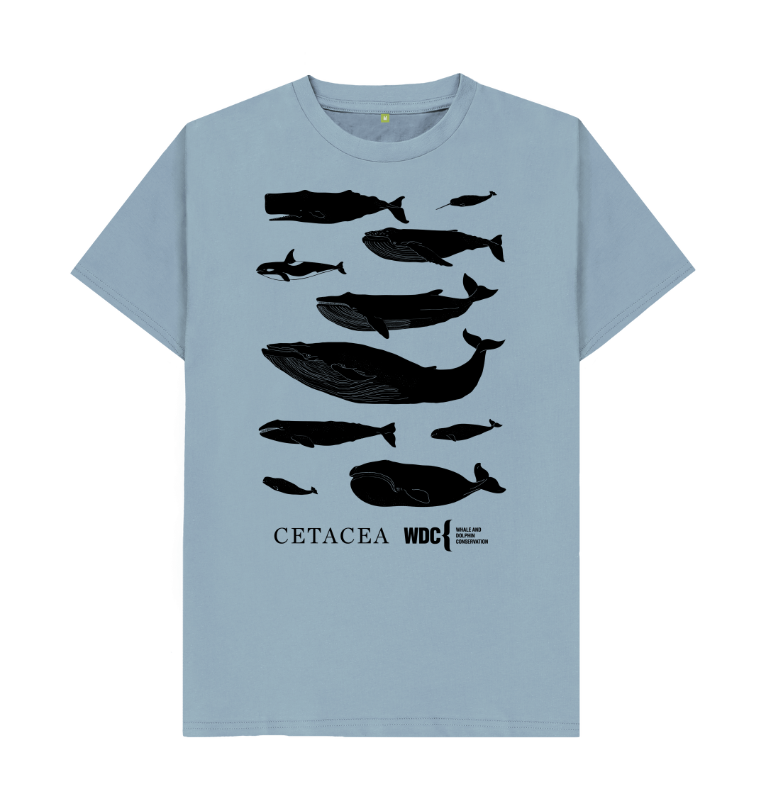 Cetacea T-shirt