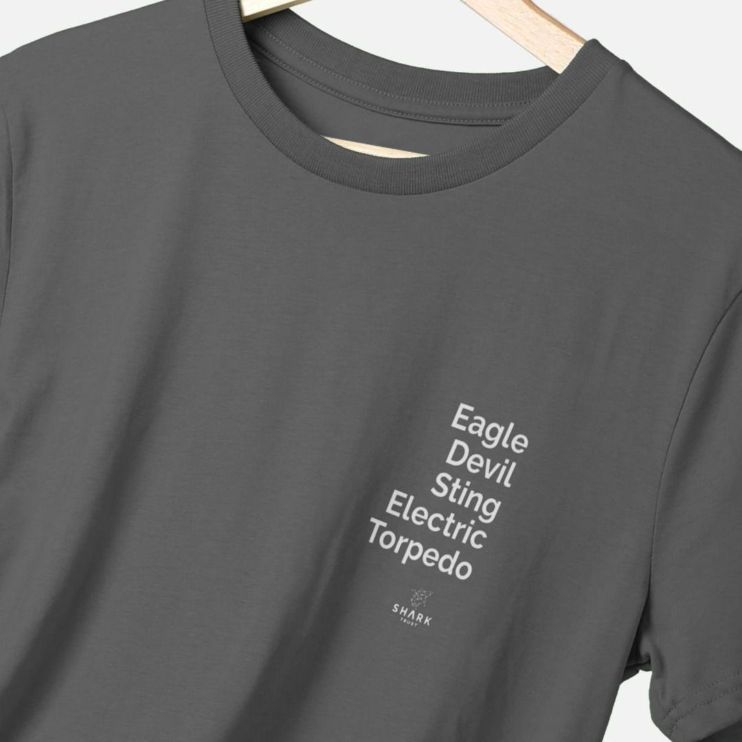 Ray T-shirt
