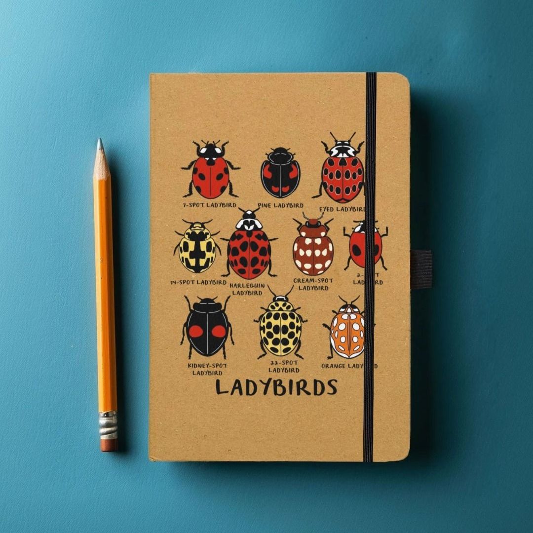 Ladybird Notebook