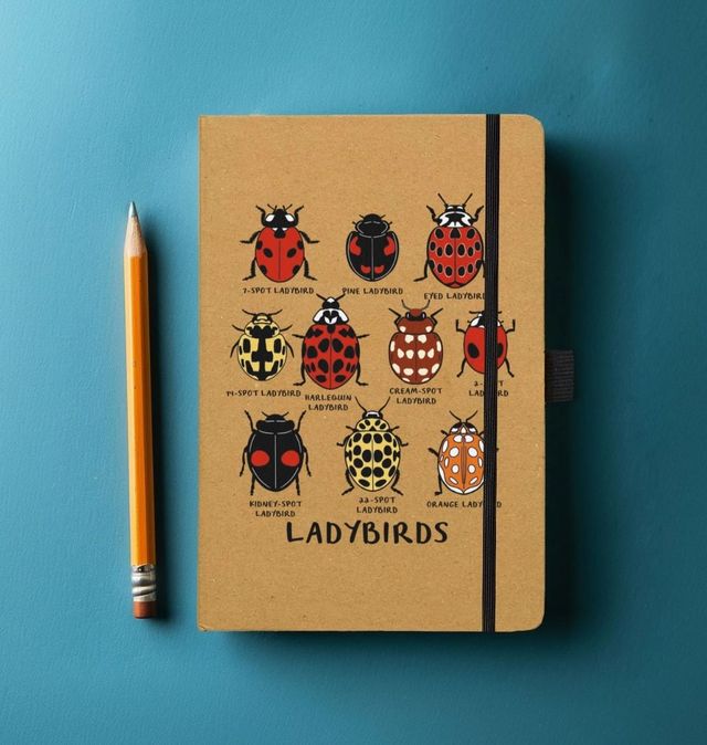 Moth Notebook Moth Notebook