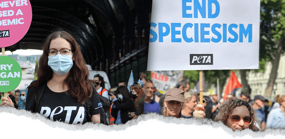 Vegan Clothing UK | Ethical Animal Rights Apparel | PETA