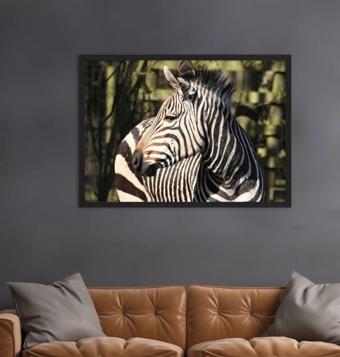 Exclusive Fine Art Print Hartmann's Mountain Zebra Print