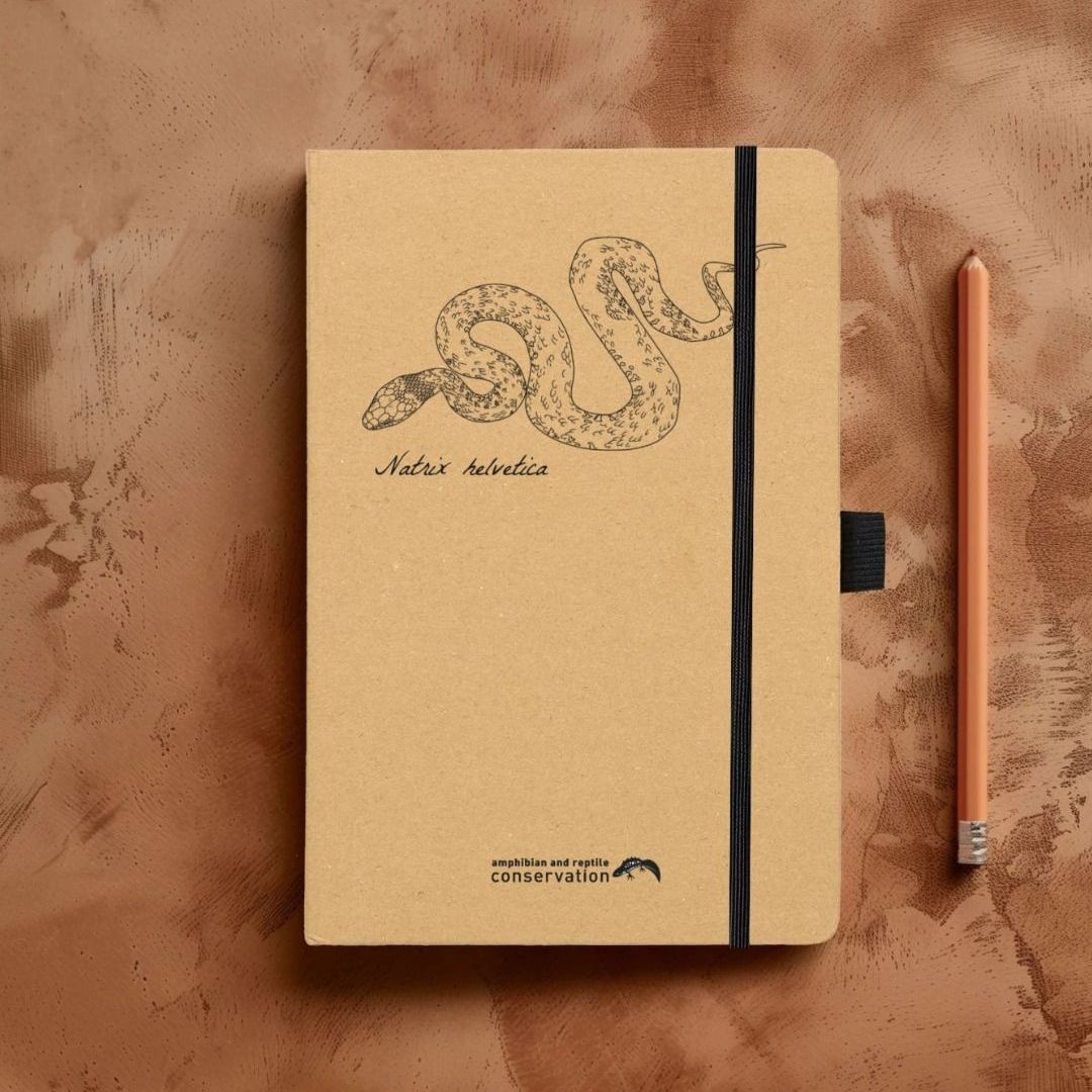 Grass snake Field notebook
