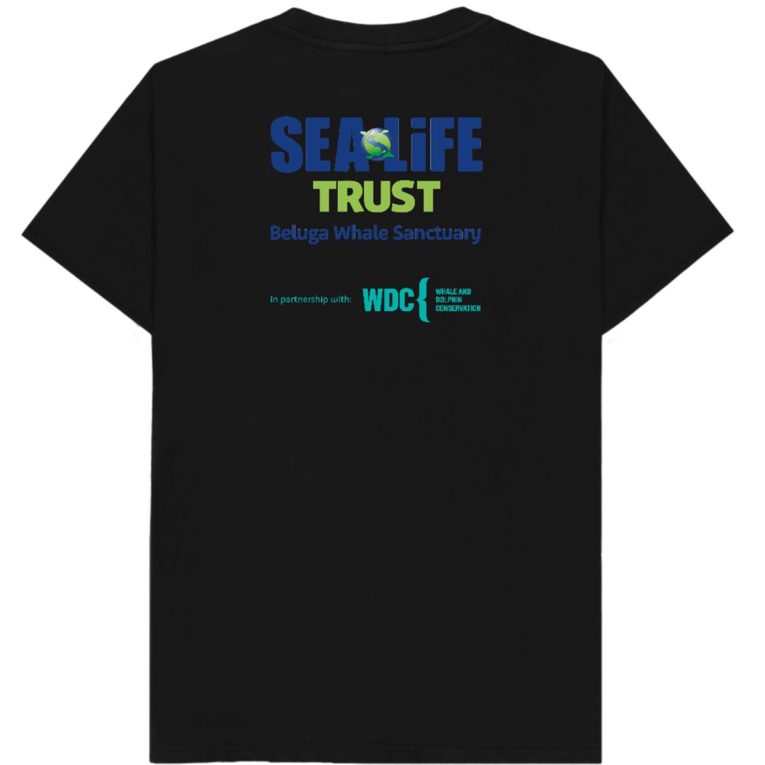 Beluga T-shirt1