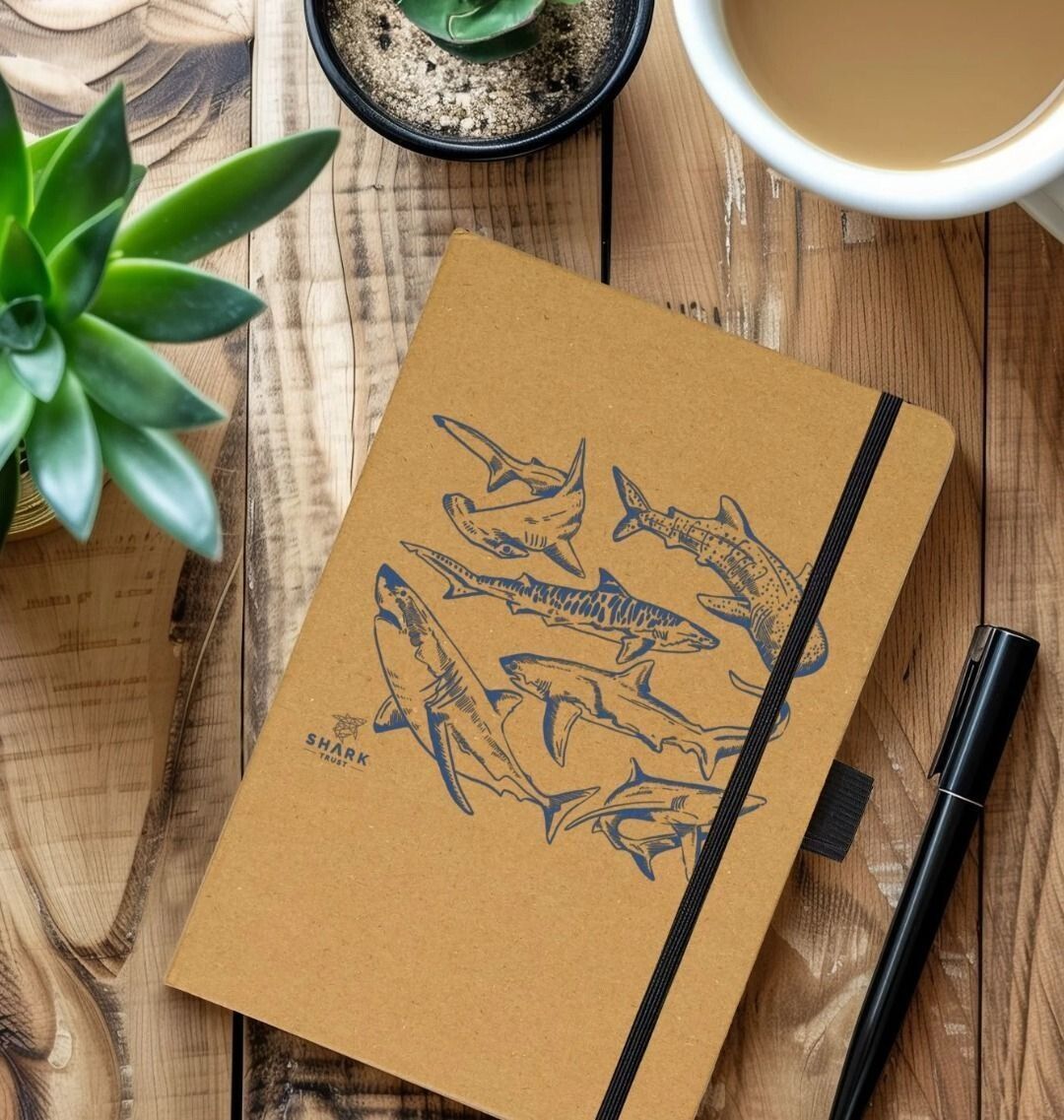 Shark Notebook | A5 Shark Notebook | Shark Trust