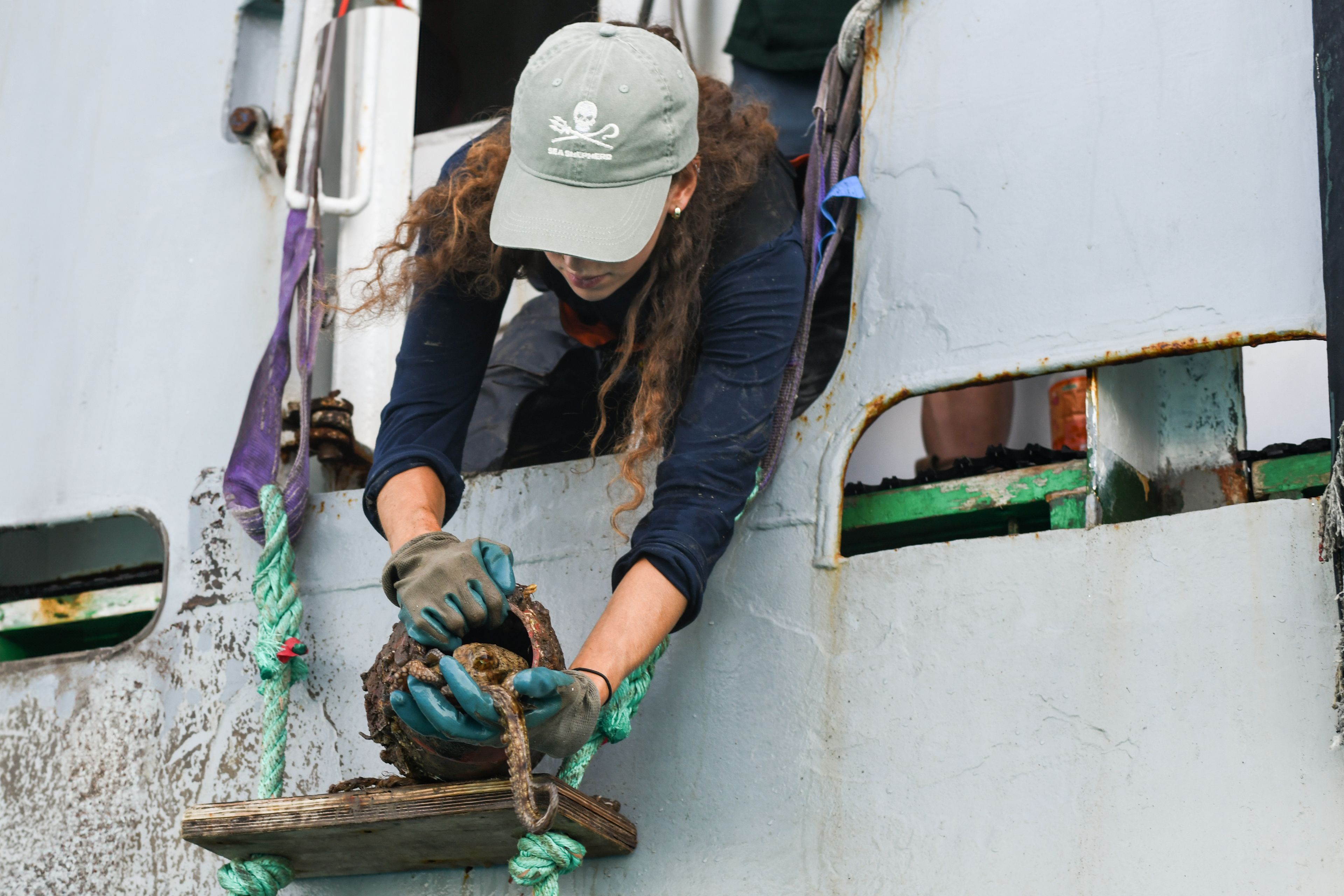 Sea Shepherd Jolly Roger Oat Logo Cap