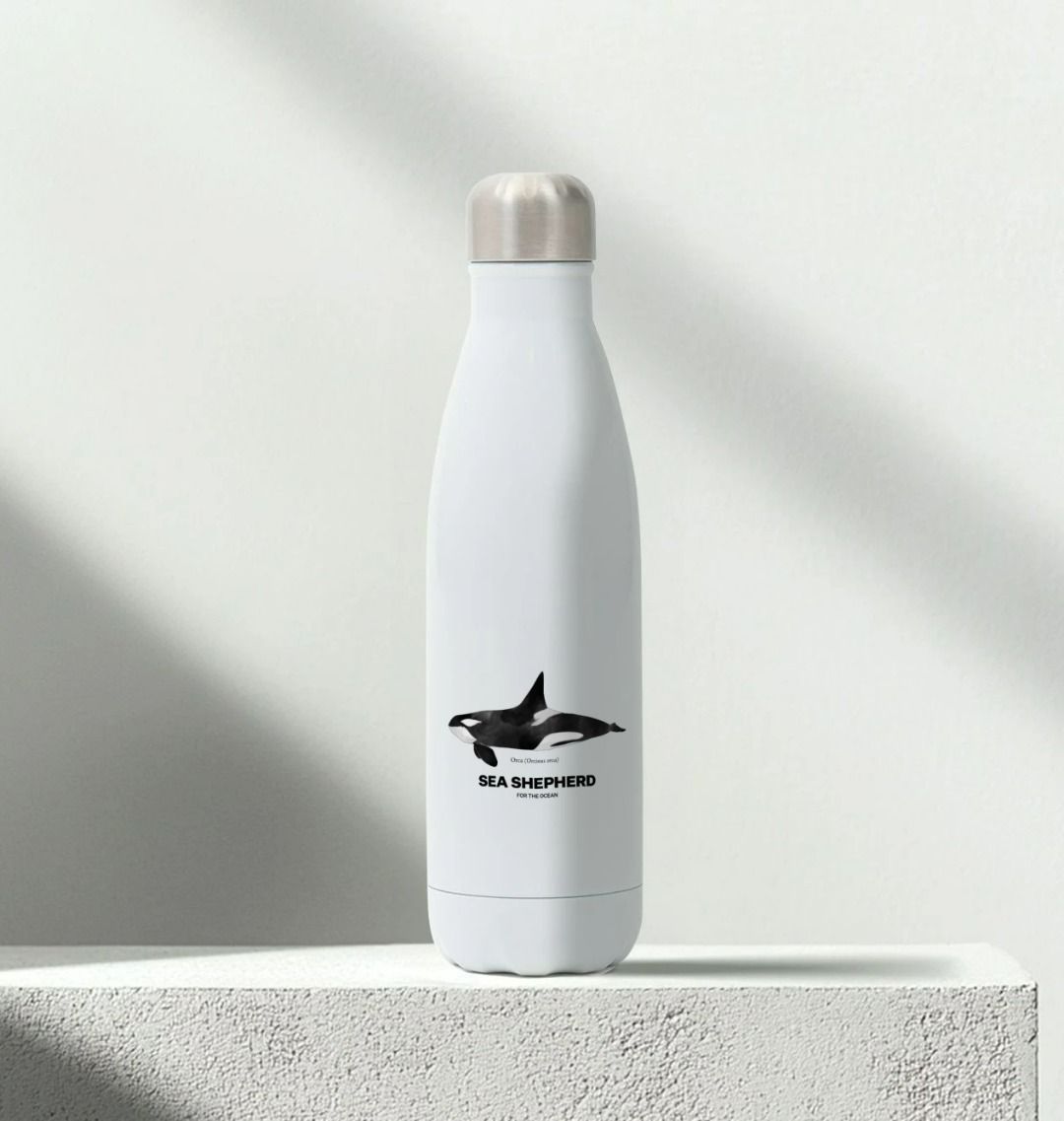 Pilot Whale Water Bottle