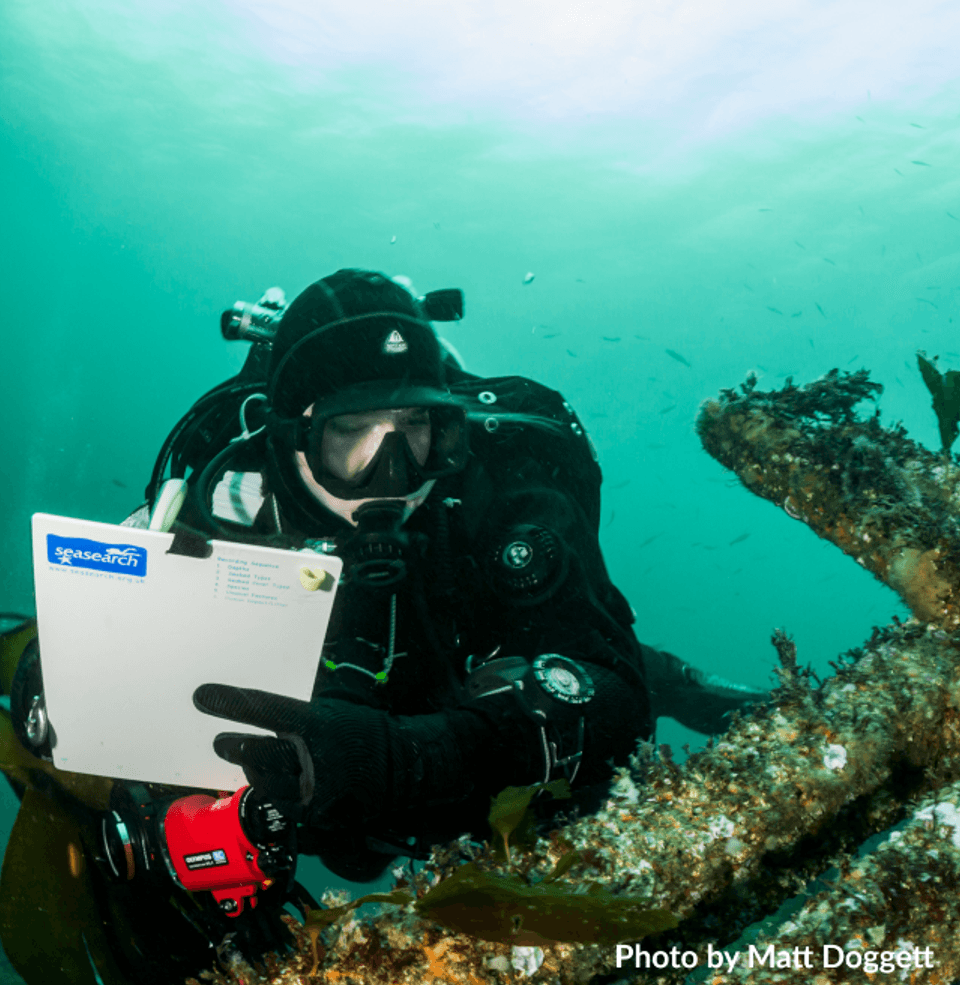 Seasearch