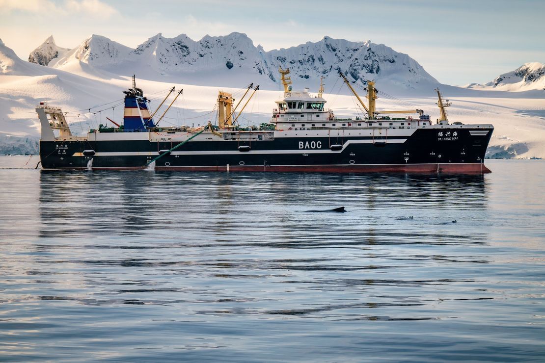Ocean Collection | Sea Shepherd Global
