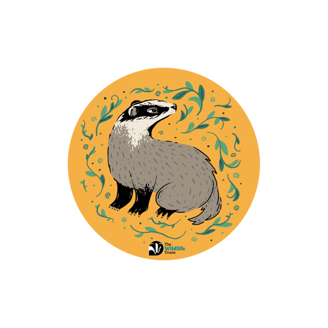 Robin Top Sticker Bundle | The Wildlife Trusts Store