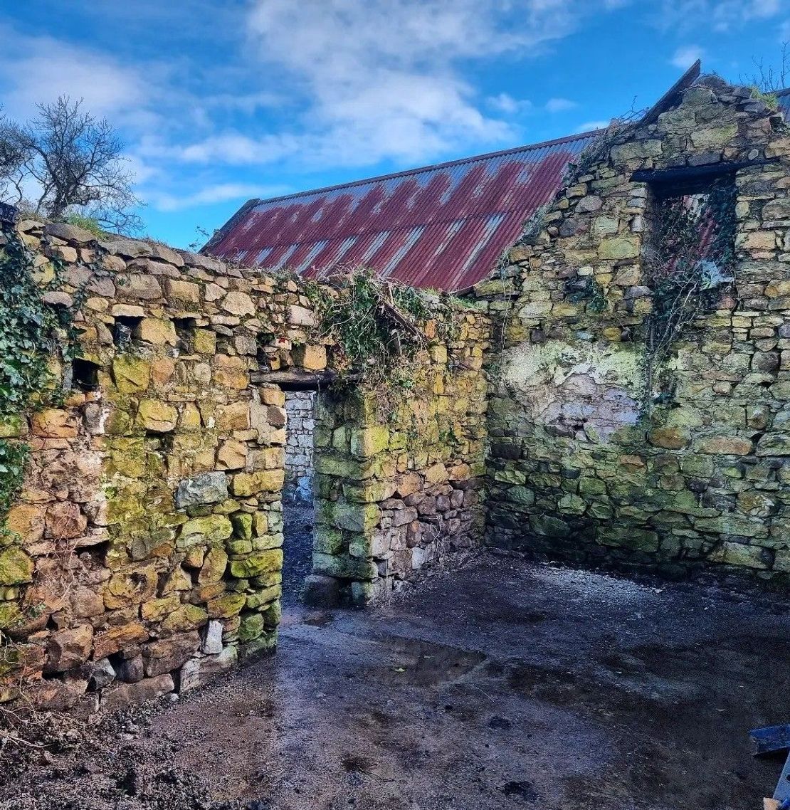 Home [the-irish-homestead.teemill.com]