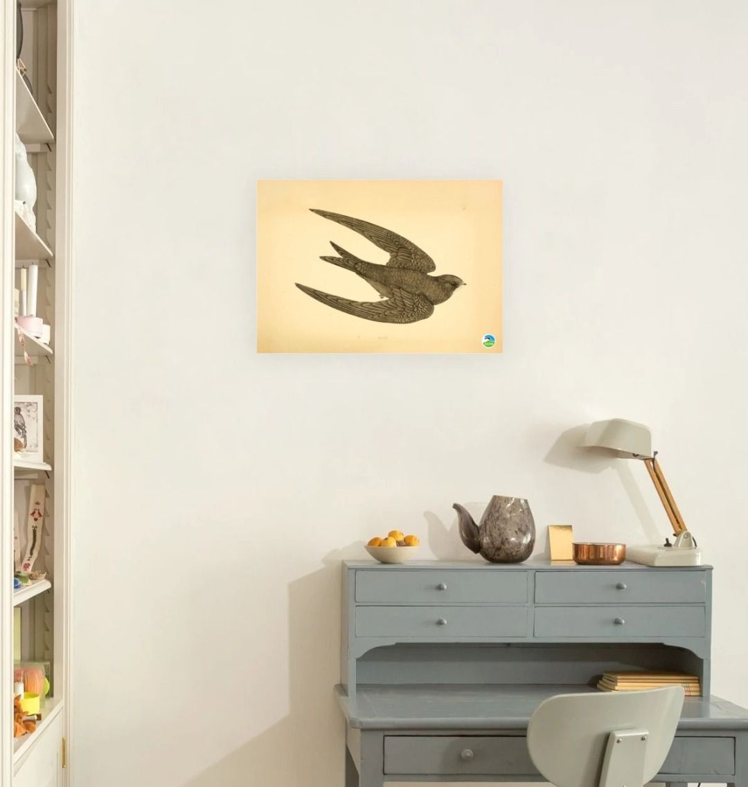 Swift Rspb Images Swift Art Print | Official RSPB Shop