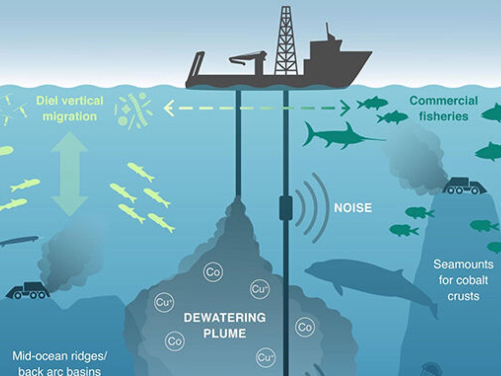 Stop deep sea mining campaign