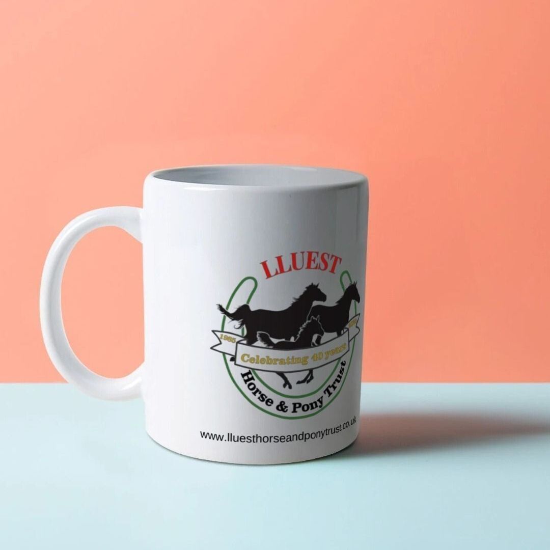 Lluest Horse and Pony Trust 40th Anniversary Mug